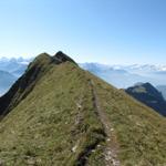 Blick zurück zum Suggiture