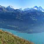 Breitbildfoto vom schönen Brienzersee