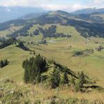 bei Punkt 1771 m.ü.M ist unser nächstes Ziel, das Restaurant „Jägerstübli" auf der Lombachalp schon gut ersichtlich