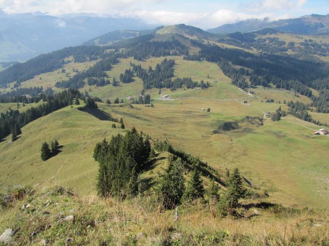 bei Punkt 1771 m.ü.M ist unser nächstes Ziel, das Restaurant „Jägerstübli" auf der Lombachalp schon gut ersichtlich