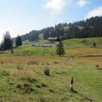 wir haben das Gebiet der Lombachalp erreicht. Geschützte Moorlandschaft