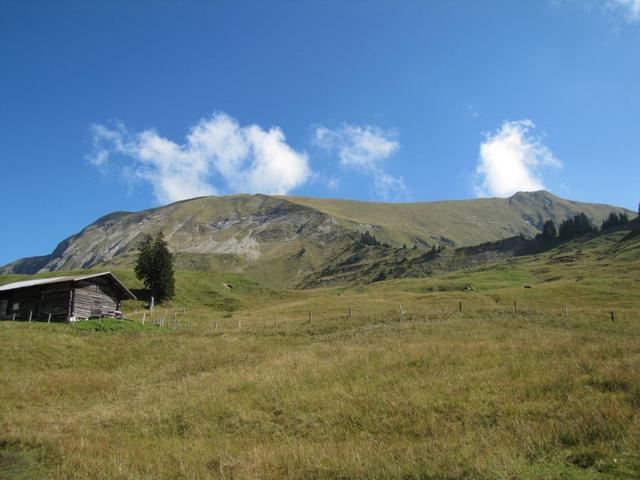 noch vor kurzem standen wir dort oben. Blick zum Augstmatthorn