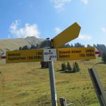 Wegweiser bei Lägerstutz 1560 m.ü.M. direkt neben dem Restaurant „Jägerstübli"