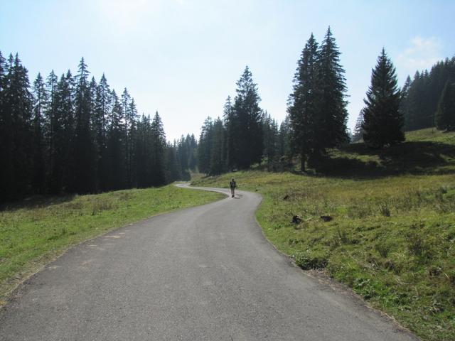 zuerst über eine Alpstrasse...