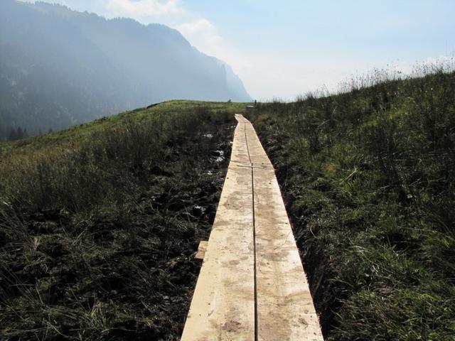 besser gesagt über eine Moorlandschaft. Das ganze Gebiet Habkern - Sörenberg ist geschütztes Moorgebiet