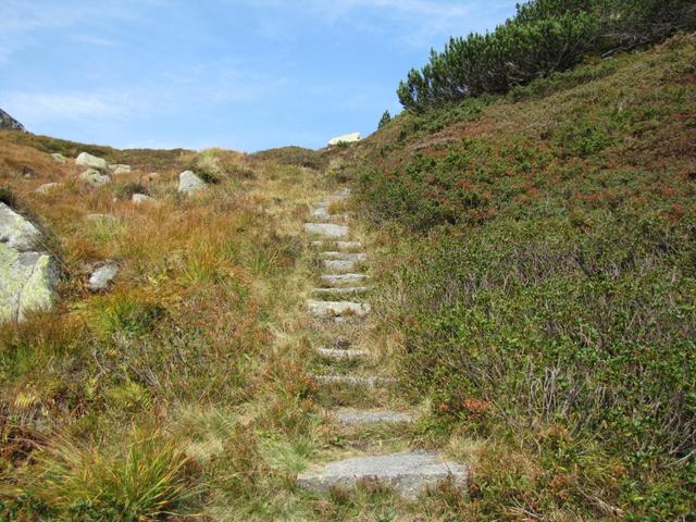 viele Steintreppen wurden verlegt