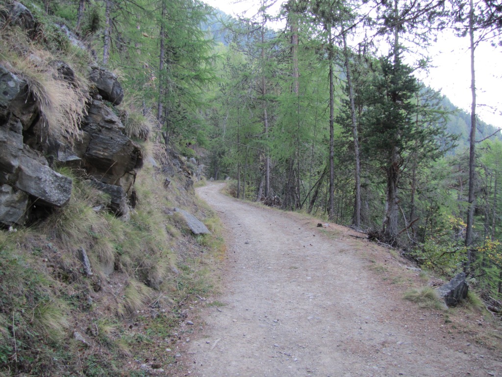 über eine Forststrasse führt uns der Wanderweg über Punkt 1924 m.ü.M. nach Oberfinilu