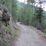 über eine Forststrasse führt uns der Wanderweg über Punkt 1924 m.ü.M. nach Oberfinilu
