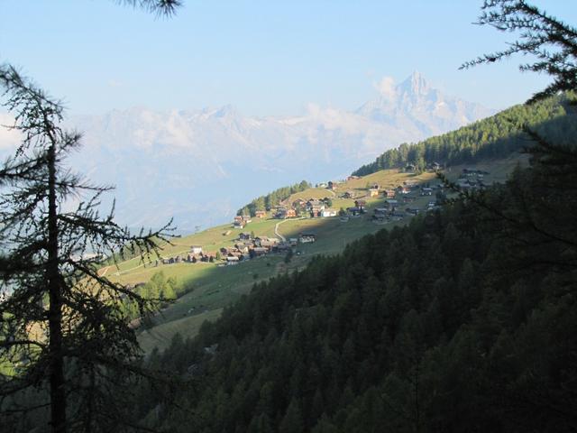 Blick zurück nach Gspon, das zur Hälfte schon an der Sonne liegt