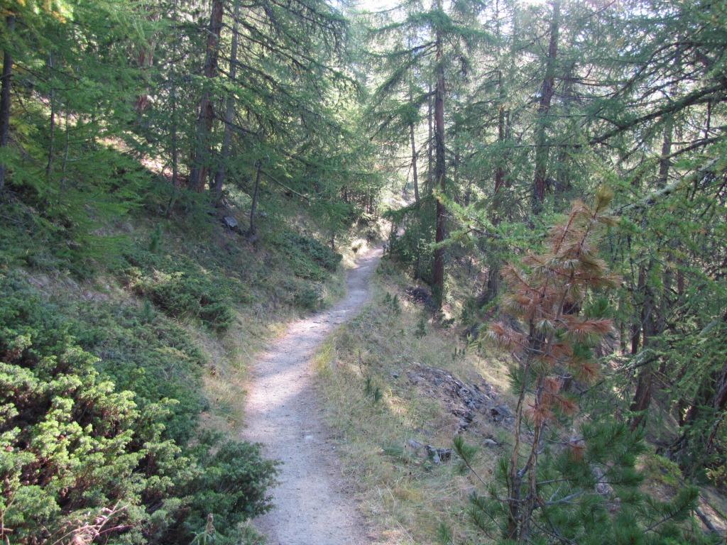 der Weg ist immer gut ersichtlich