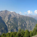 schönes Breitbildfoto von der Schwarzwald aus gesehen. Gut ersichtlich der Balfriner Höhenweg. Den haben wir auch gemacht