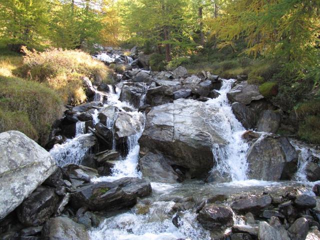 bei Punkt 2191 m.ü.M. überquerten wir den Mattwaldbach