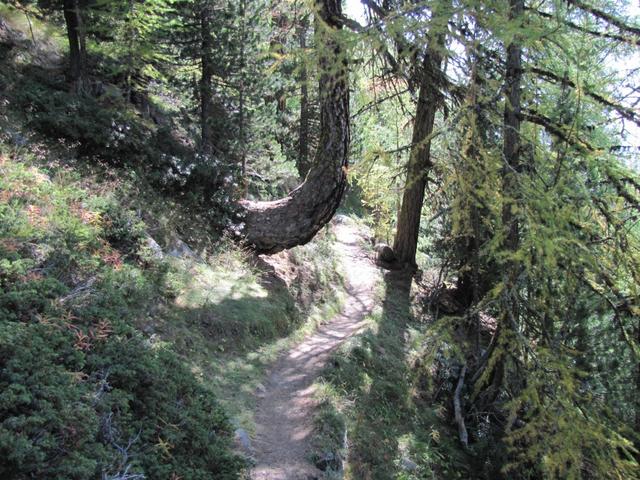 der Gsponer Höhenweg ist einfach super schön