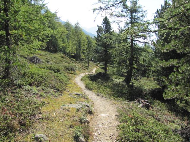 weiter geht unsere Wanderung nach Hoferälpji