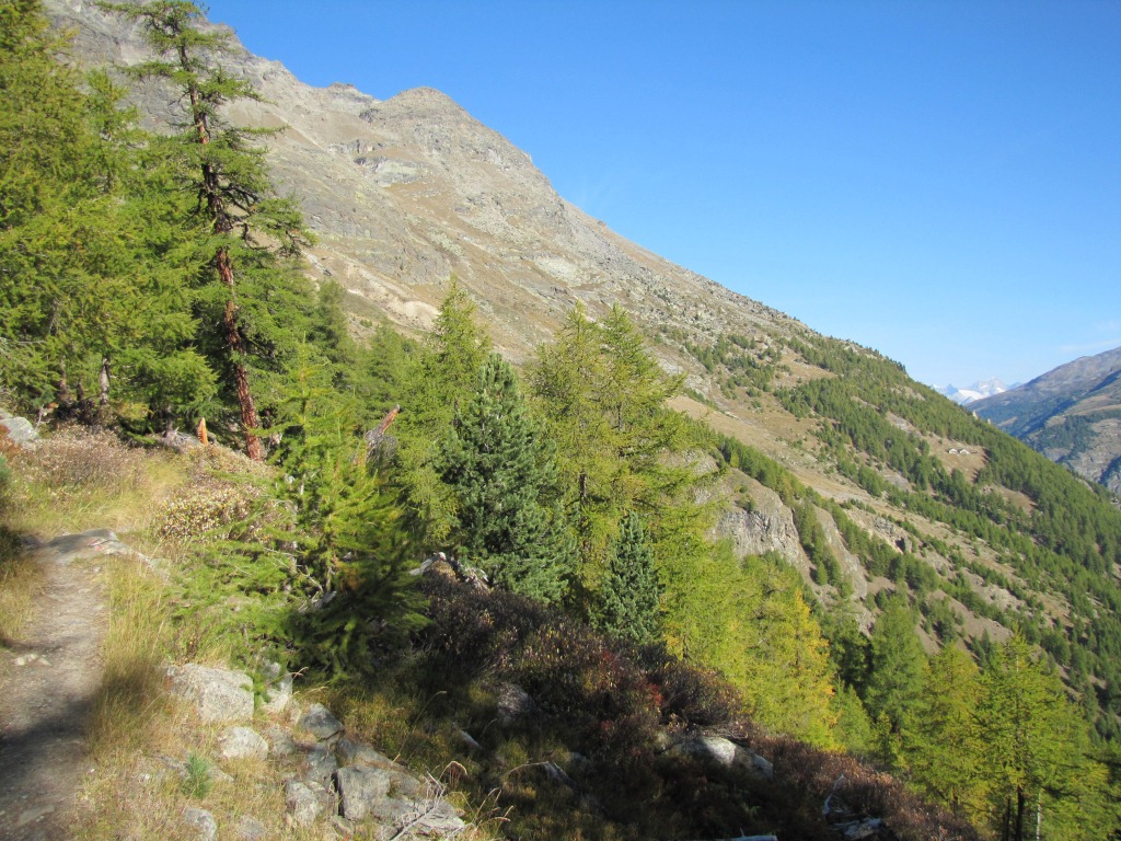 kurz vor Balmiboden verlässt man den Wald und die Weitsicht wird imposant