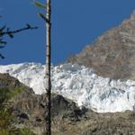 direkt oberhalb vom Wanderweg, kann man den Bidergletscher mit seinen Séracs bestaunen