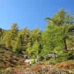 was für ein Kaiserwetter. So macht Wandern Spass