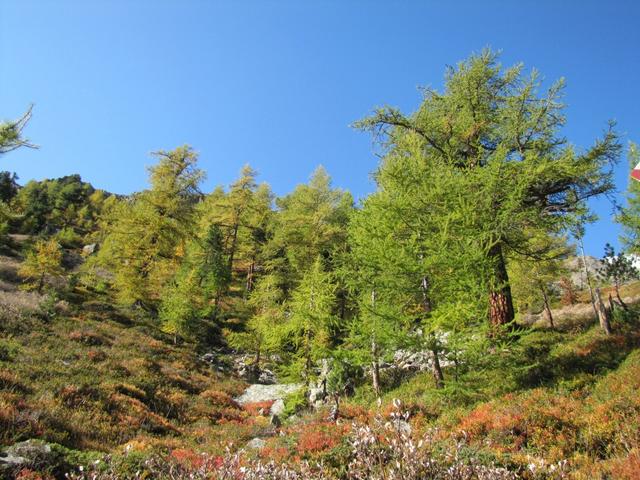 was für ein Kaiserwetter. So macht Wandern Spass