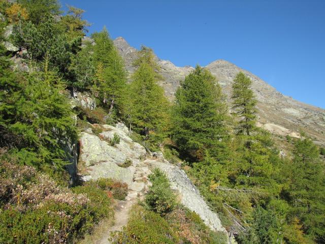 ab Balmiboden wird der Pfad anspruchsvoller. Der Balfriner Höhenweg ist definitiv schwieriger als der Gsponer Höhenweg