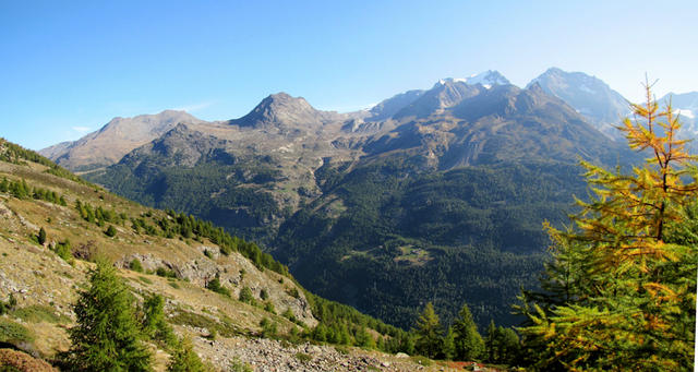 Breitbildfoto. Blick auf der anderen Talseite des Saasertal Mattwaldhorn, Fletschhorn und Lagginhorn