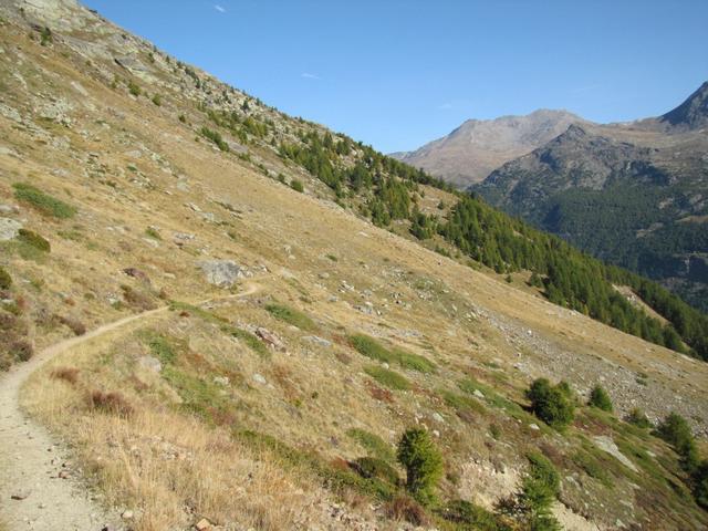 auf dem Weg Richtung Stafelalpji 