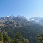 immer wieder schweift der Blick Richtung Fletschhorn, Lagginhorn und Weissmies