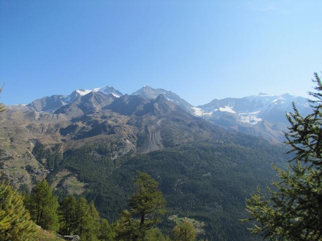 immer wieder schweift der Blick Richtung Fletschhorn, Lagginhorn und Weissmies