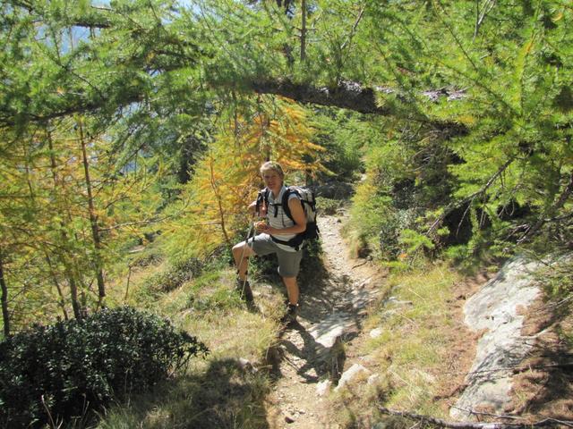 Mäusi ist vom "Balfriner" Höhenweg begeistert