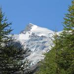 Blick hinauf zum Gemshorn mit dem Bidergletscher