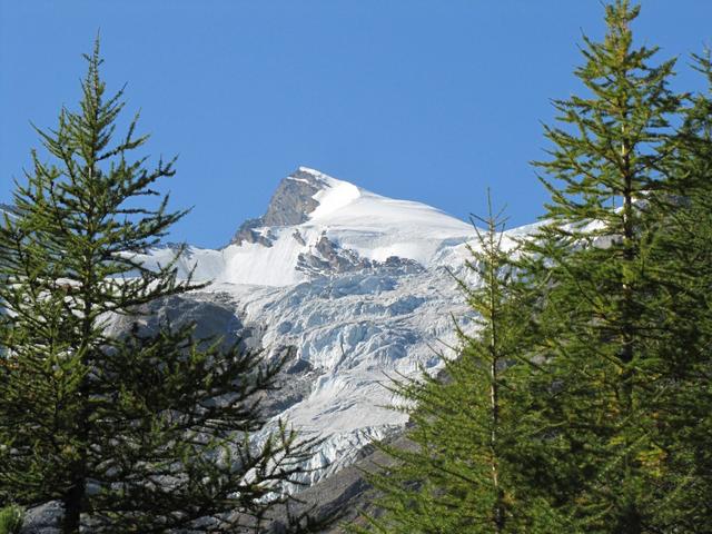 Blick hinauf zum Gemshorn mit dem Bidergletscher