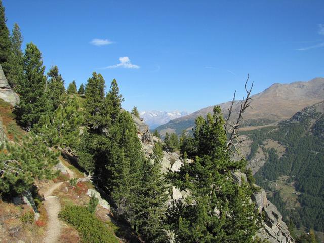 bei der Stafelalpji taucht ein anderer mächtiger Berg unvermittelt auf...