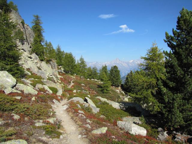 der Bergpfad führt uns nun Richtung Lammugraben