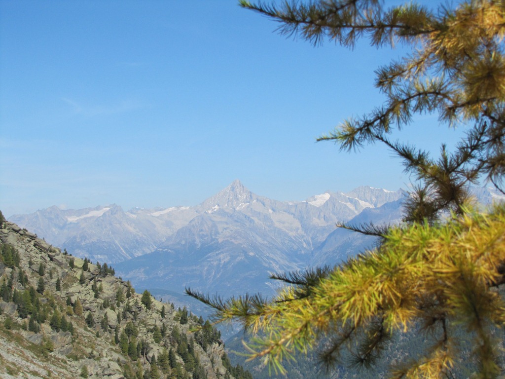 wir haben nun den mächtigen Bietschhorn ständig vor unseren Augen
