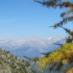 wir haben nun den mächtigen Bietschhorn ständig vor unseren Augen