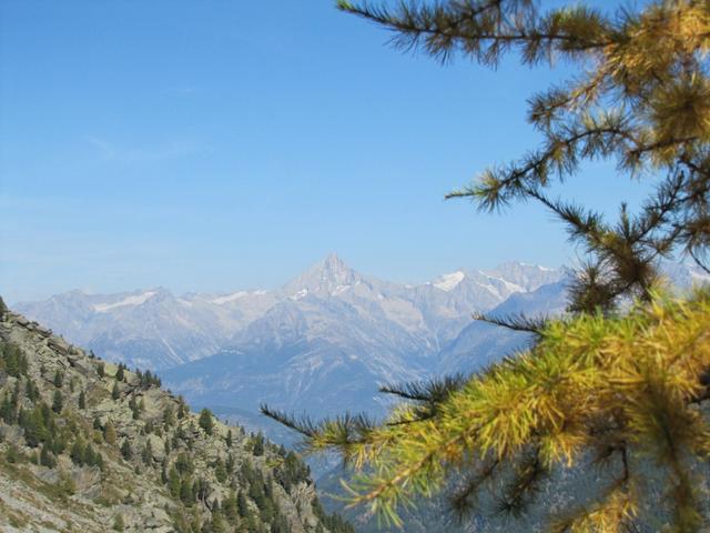 wir haben nun den mächtigen Bietschhorn ständig vor unseren Augen