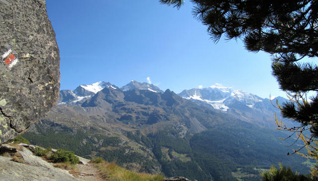 und immer wieder dieser Blick zurück zum Fletschhorn, Lagginhorn und Weissmies