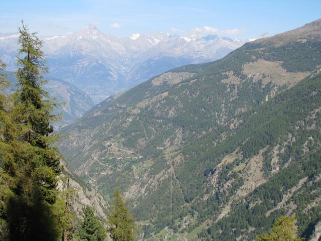 Blick Richtung Gspon. Dort haben wir am Vortag den "Gsponer" Höhenweg unter die Füsse genommen