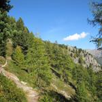 Blick Richtung Aussichtskanzel von Rote-Biel