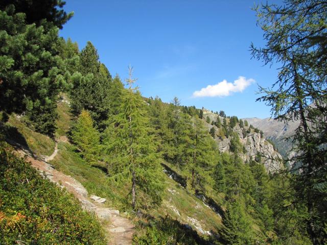 Blick Richtung Aussichtskanzel von Rote-Biel