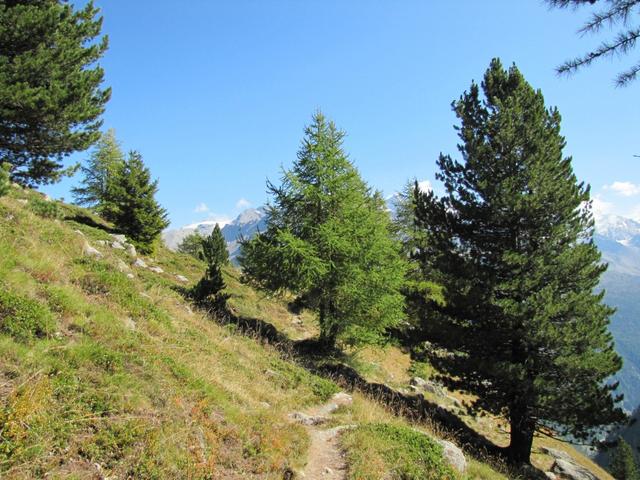 wir haben Rote-Biel auf 2288 m.ü.M. erreicht