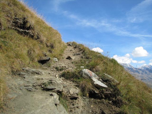 wir waren aber auch vom "Balfriner" Höhenweg begeistert, einfach genial