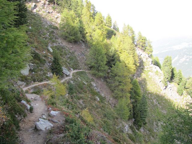 uns hat der Grächener oder Balfriner Höhenweg sehr gut gefallen