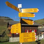 Wegweiser auf der Riederalp 1925 m.ü.M.