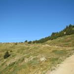 auf breitem Wanderweg Richtung Riederfurka