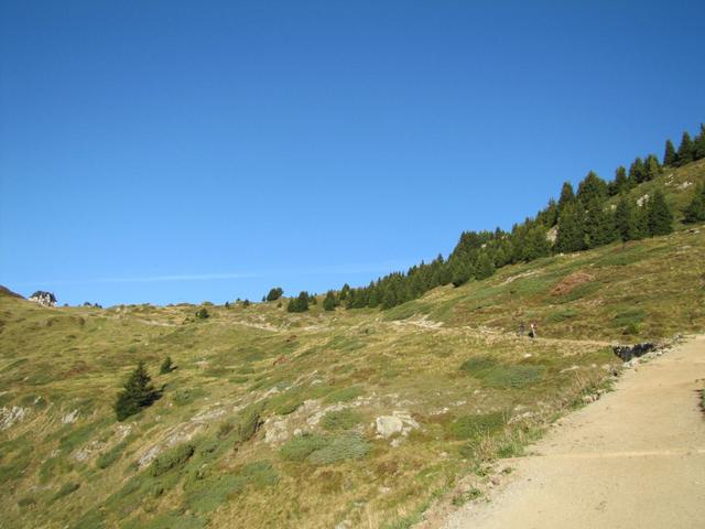 auf breitem Wanderweg Richtung Riederfurka