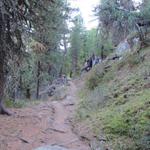 während dem Wandern, begleitet uns das Röhren der Hirsche. Der Herbst ist Brunftzeit