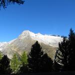 Blick auf Gr. Fusshorn und Rotstock mit Driestgletscher