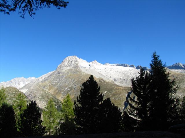 Blick auf Gr. Fusshorn und Rotstock mit Driestgletscher