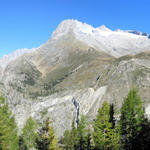 Breitbildfoto bei Silbersand 1922 m.ü.M. mit Blick auf Sparrhorn, Gr.Fusshorn, Rotstock und Geisshorn