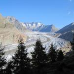 und die Sicht auf den grossen Aletschgletscher wird immer imposanter